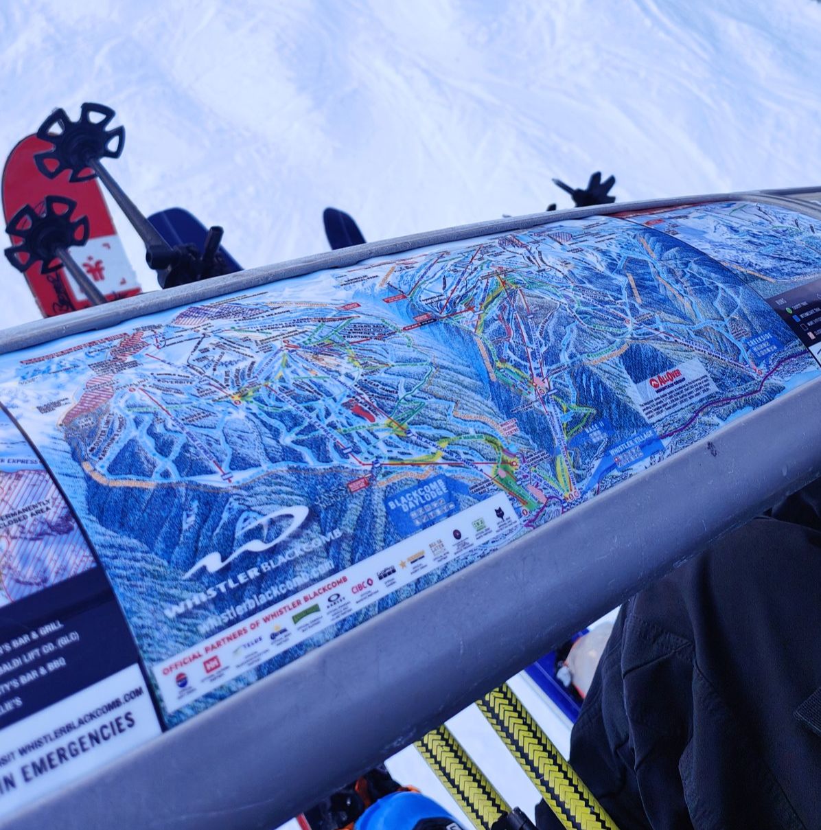 Garde de corps de Whistler. 